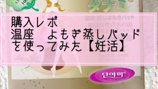 購入レポ 韓国発 よもぎ蒸しパッド ダナミ を使ってみた 使い心地 効果は 妊活 わっこブログ