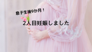わっこブログ 30代派遣olの日常とロシア人旦那との国際結婚ブログ